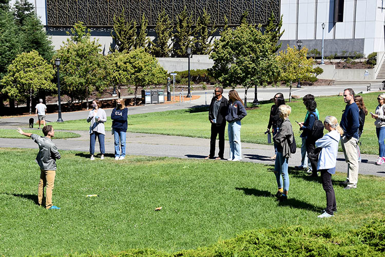 people stand on grass in the sun