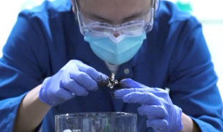 researcher in blue bending over composting plastic