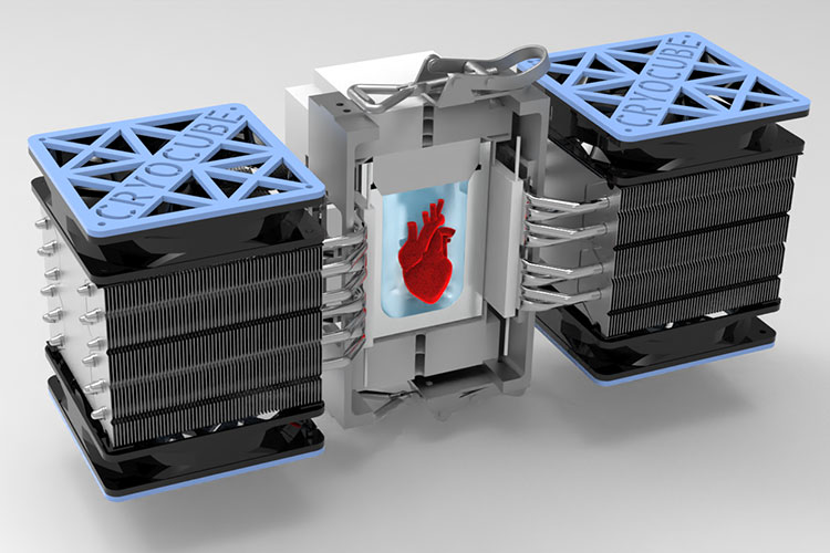 An illustration shows three box-like structures, the center of which contains a heart