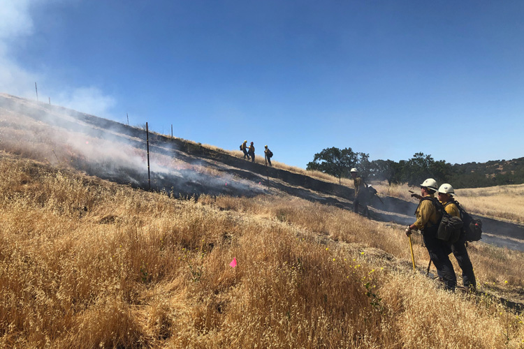 a controlled burn on a grassy slope