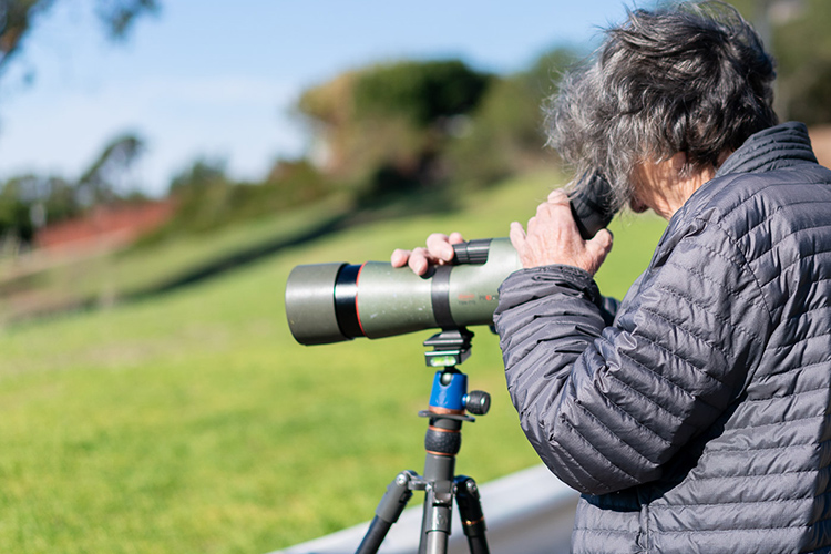 Mary Malec, a local raptor expert, looks through a telescopic lens from a hill near Lawrence Hall of Science to see whether she can spot any falcons flying around the Campanile.