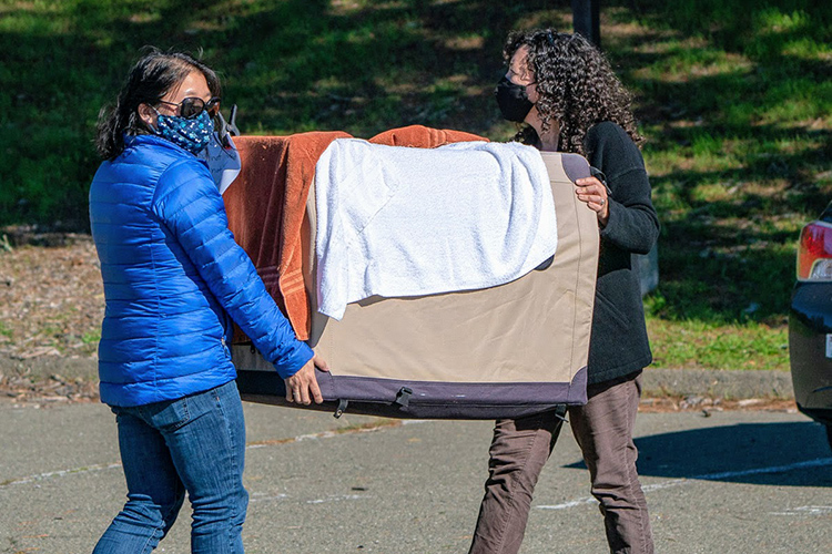 Dr. Woo and her sister take UC Berkeley's male falcon Grinnell to an overlook near the Lawrence Hall of Science in a large canvas animal carrier.