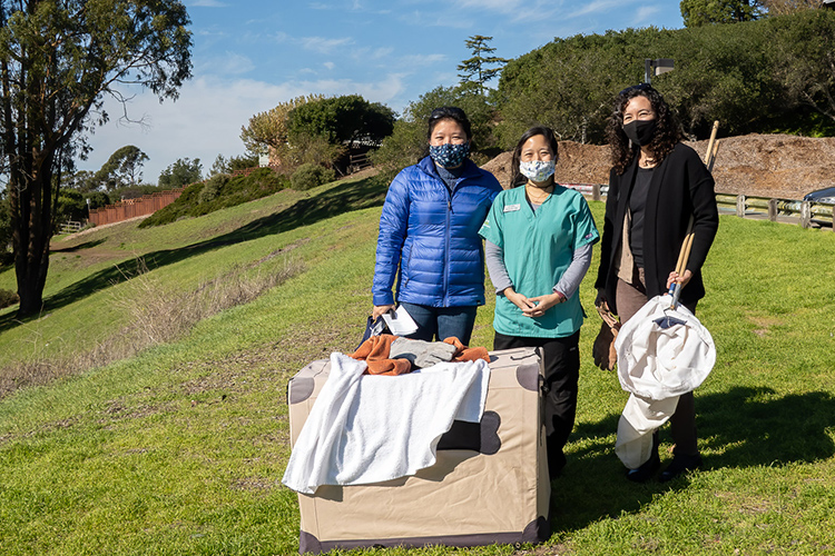 Three members of Lindsay Wildlife Experience pose on the hill where Berkeley male falcon Grinnell was released after his hospitalization at Linsday.