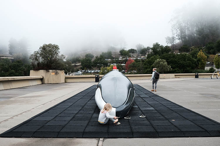 children climb on a whale statue in the fog