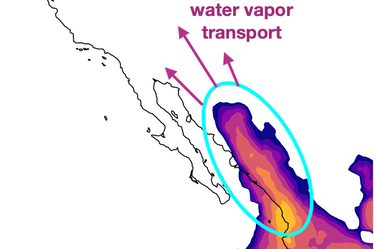 graphic showing major part of monsoon over Mexico