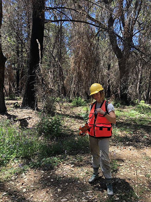 a person stands in a forest with protective gear on