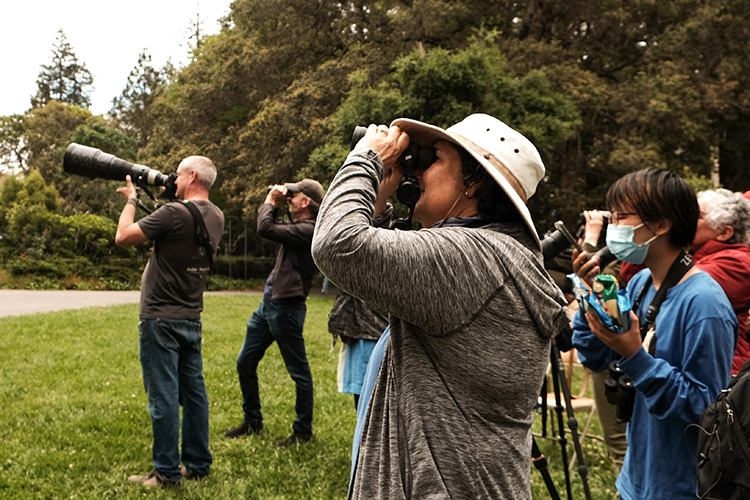 Dan Ambrosini, a raptor expert, looks through binoculars, hoping to see a falcon near the tower.