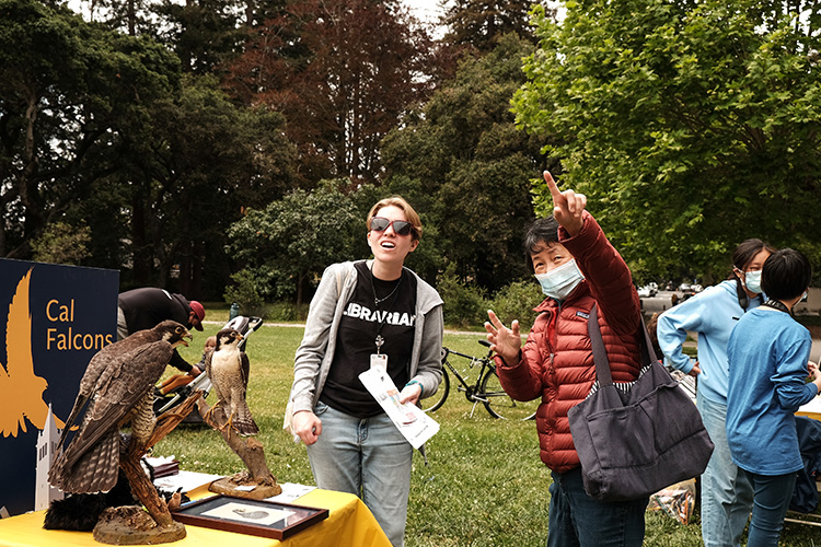 Two women search the skies on campus for a sign of falcons.