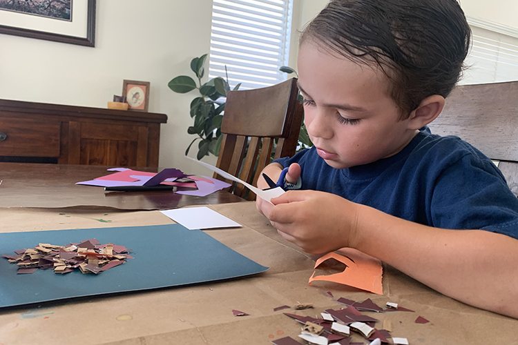 A young child, Andersen Hubbard, cuts construction paper to make artwork about Berkeley's falcons.