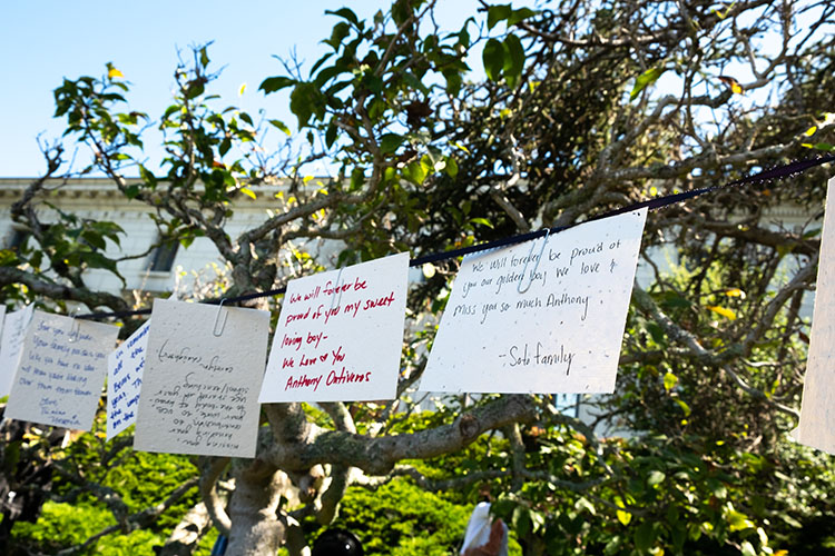 handwritten paper messages hang on a string the text of the messages cannot be seen clearly in the photograph