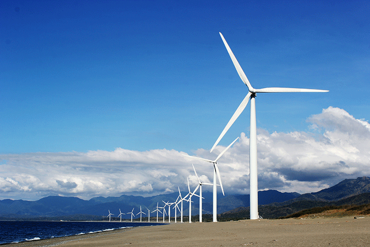 A photo shows a line of windmills on sandy beach