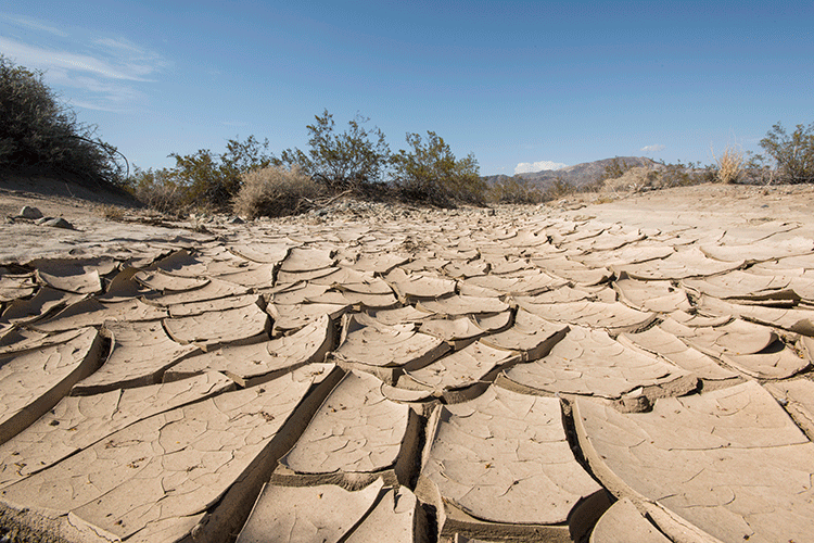 A photo shows a landscape of dried, cracked dirt.