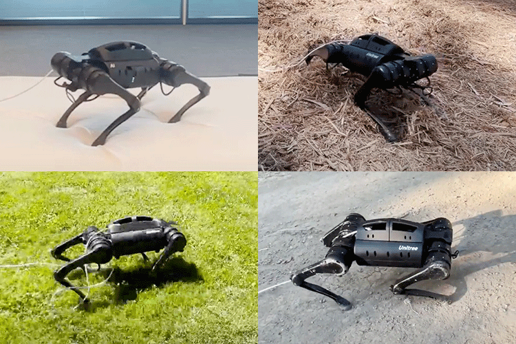 A photo composite shows four images of a quadruped robot walking on different terrain, including a hard surface, grass, a forest floor, and a gravel path.