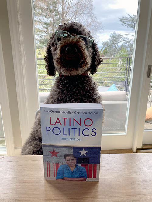 a dog in sunglasses poses with latino politics, a book written by Lisa García Bedolla