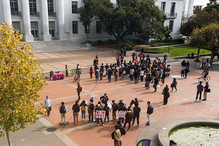 two groups of demonstrators gather on sproul plaza