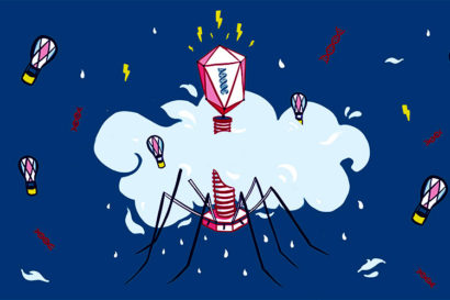 sketch of white microbe against blue background, with red phages attacking the microbe