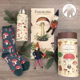 a variety of half a dozen nature-themed gifts