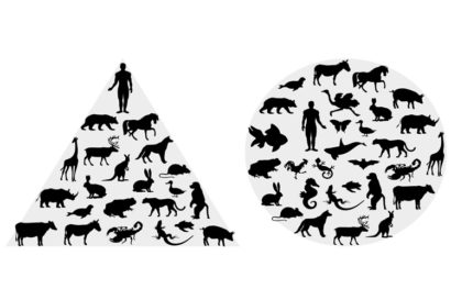 a pyramid of animals with humans on top next to a circle enclosing silhouettes of animals equally with a human