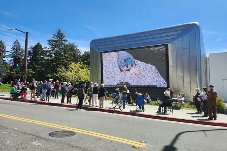 The giant outdoor screen at the Berkeley Art Museum and Pacific Film Archive displays the hatching of the UC Berkeley falcon chicks.