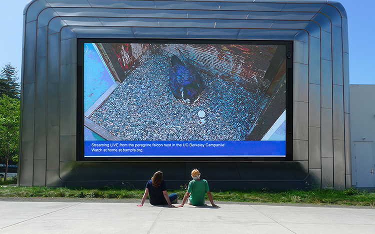 Two people sit on the ground looking at the big screen that takes up an exterior wall of the Berkeley Art Museum and Pacific Film Archive