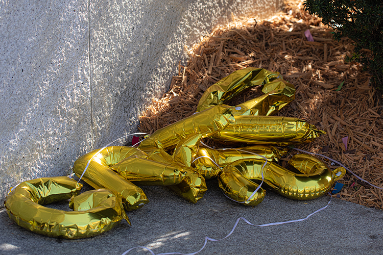 Deflated gold metallic balloons that spelled out the year 2023 lie in a heap on a campus sidewalk after students used them for a graduation celebration but didn't dispose of them.