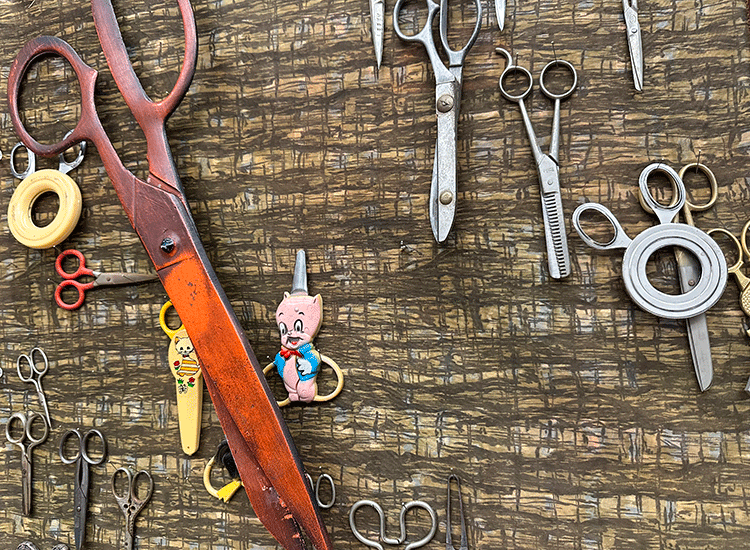 A photo shows a variety of scissors in different shapes and sizes that have been hung from a corkboard.