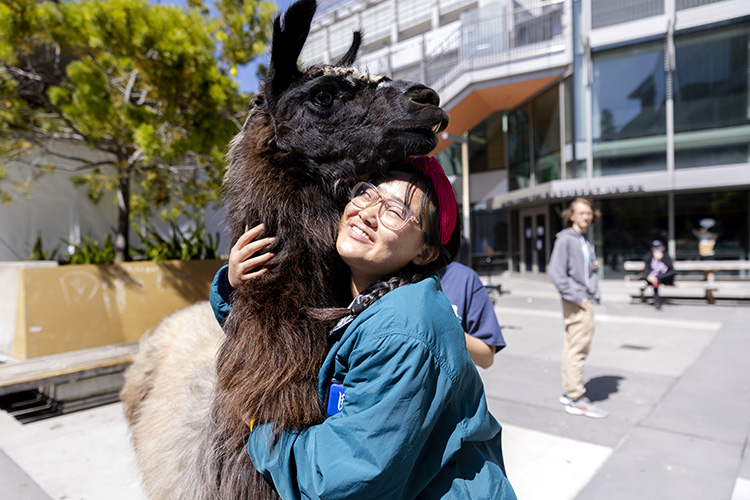 A woman hugging a llama.