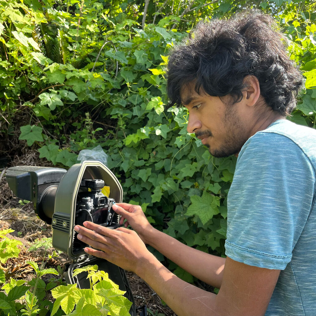 A person checks a camera that is mounted in a dense, leafy area.
