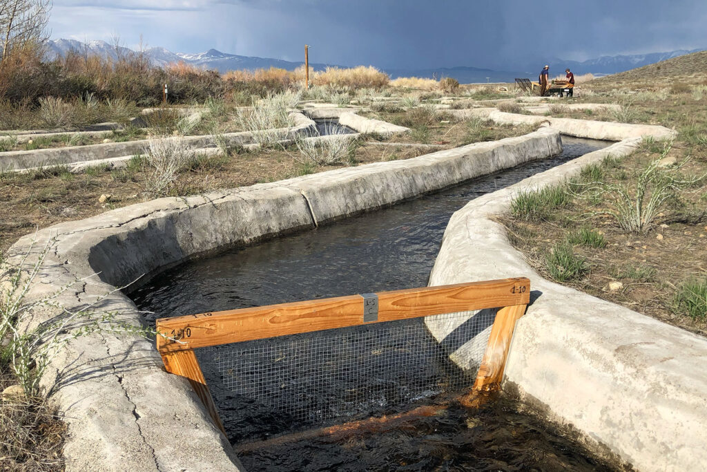 Water flows through a series of concrete channels that zig-zag across a dry, grassy mountainside. In the foreground, a wood-framed metal screen is partially submerged in one of the channels, so that water can flow through it. In the distant background, two people can be seen working near one of the channels.