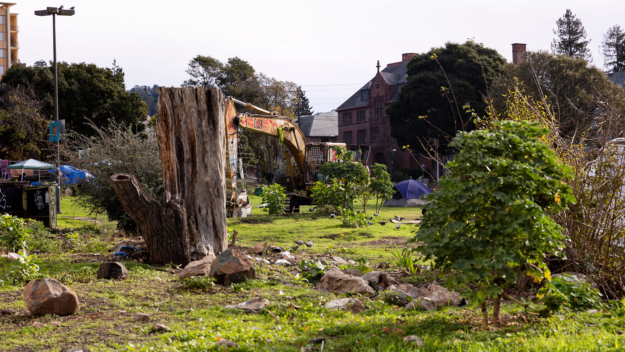A photo of People's Park shows tree trunks, scattered rocks, and graffitied machinery.