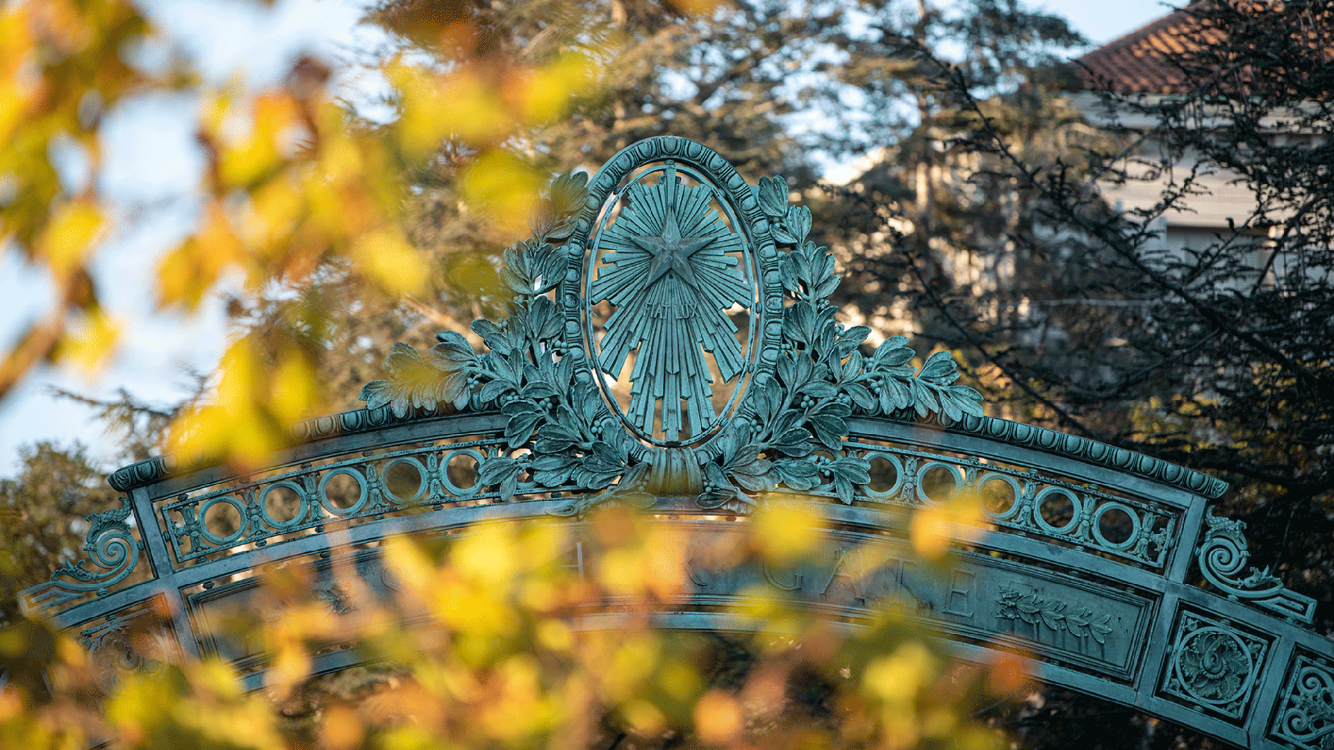 A photo of the top of UC Berkeley's Sather Gate, viewed through yellowed leaves.