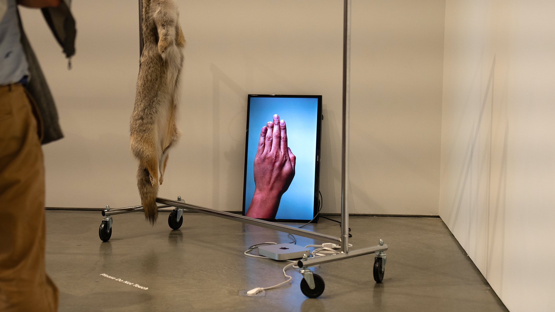 a person looks at an artwork in a gallery of a screen with a person's hand missing the tip of a finger and a coyote fur hanging from a garment rack