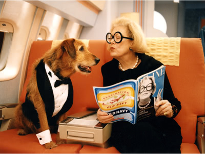 A women pretending to kiss a dog on an airplane that is wearing a dog tuxedo.