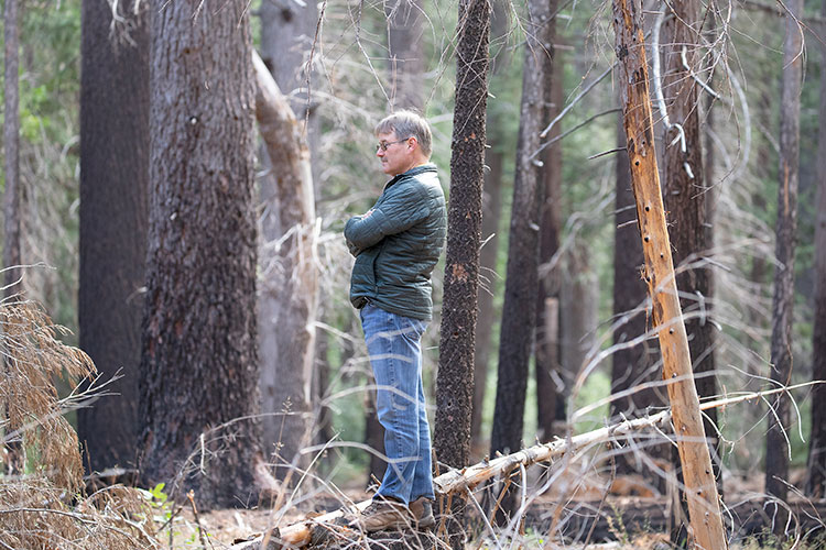 A photo of Scott Stephens standing in a forest.