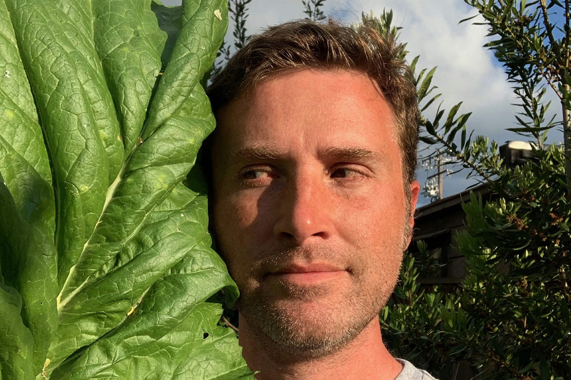 man posing with large green leaf, looking to the side