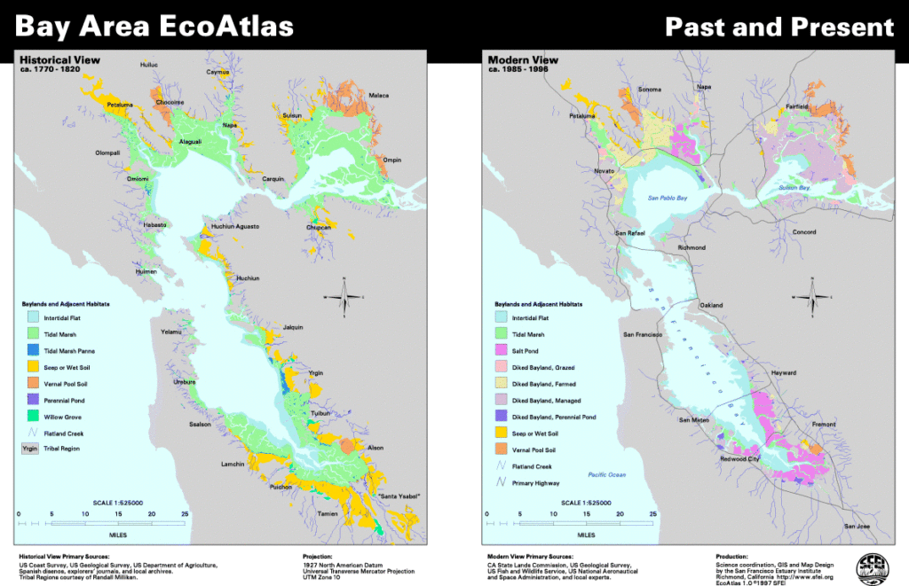 side-by-side maps of Bay Area, with colors showing historical wetlands versus those today