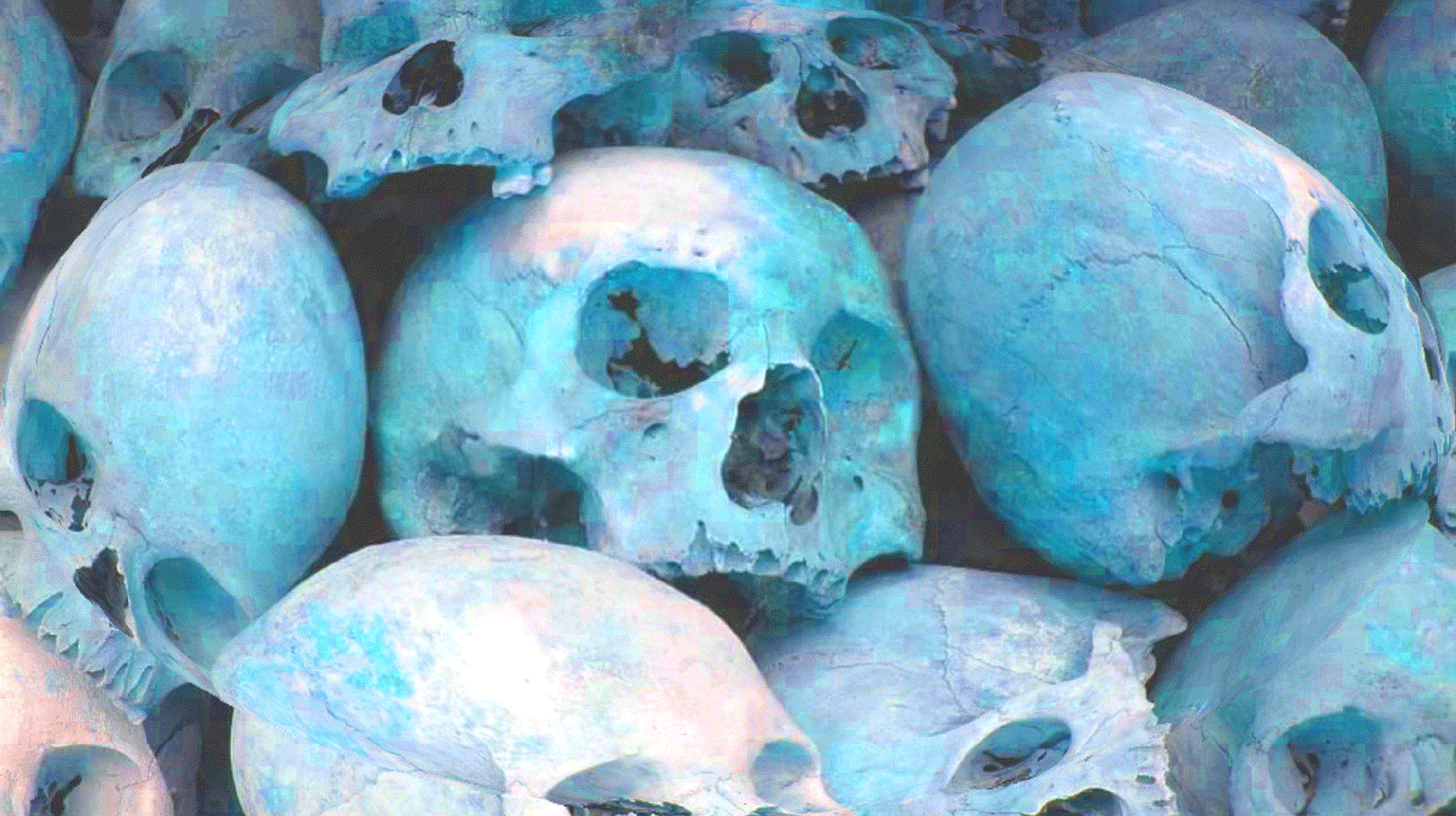 A photo-based illustration showing a mound of skulls