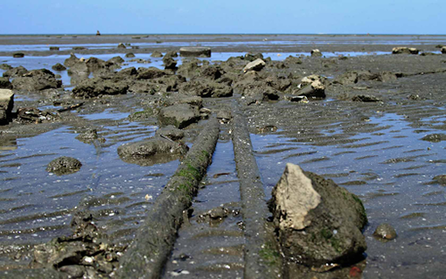 two long telecommunication cables covered in mud run through a shallow area of ocean on the coast of Fiji.
