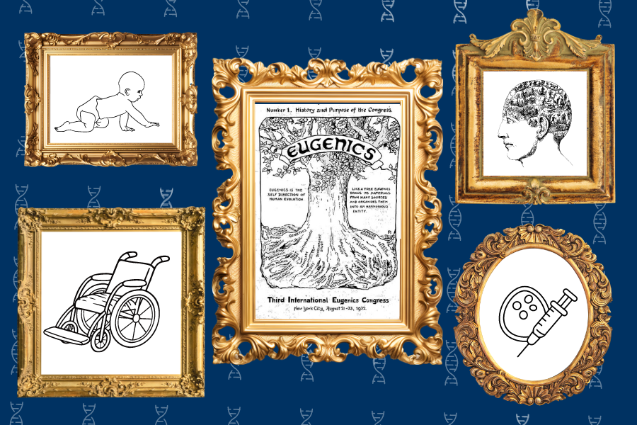 a compilation of four illustrations, including of a child, a wheelchair, and a brain, all centered around the word eugenics, meant to signify the numerous ways science and society are still shaped by the legacy of eugenics.