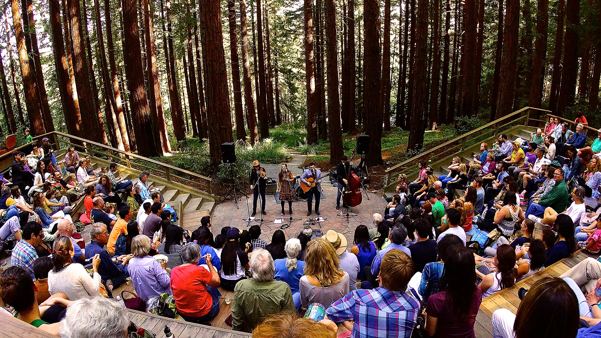 four musicians perform in a redwood grove at the UC Botanical Garden as an audience watches from an amphitheater above.