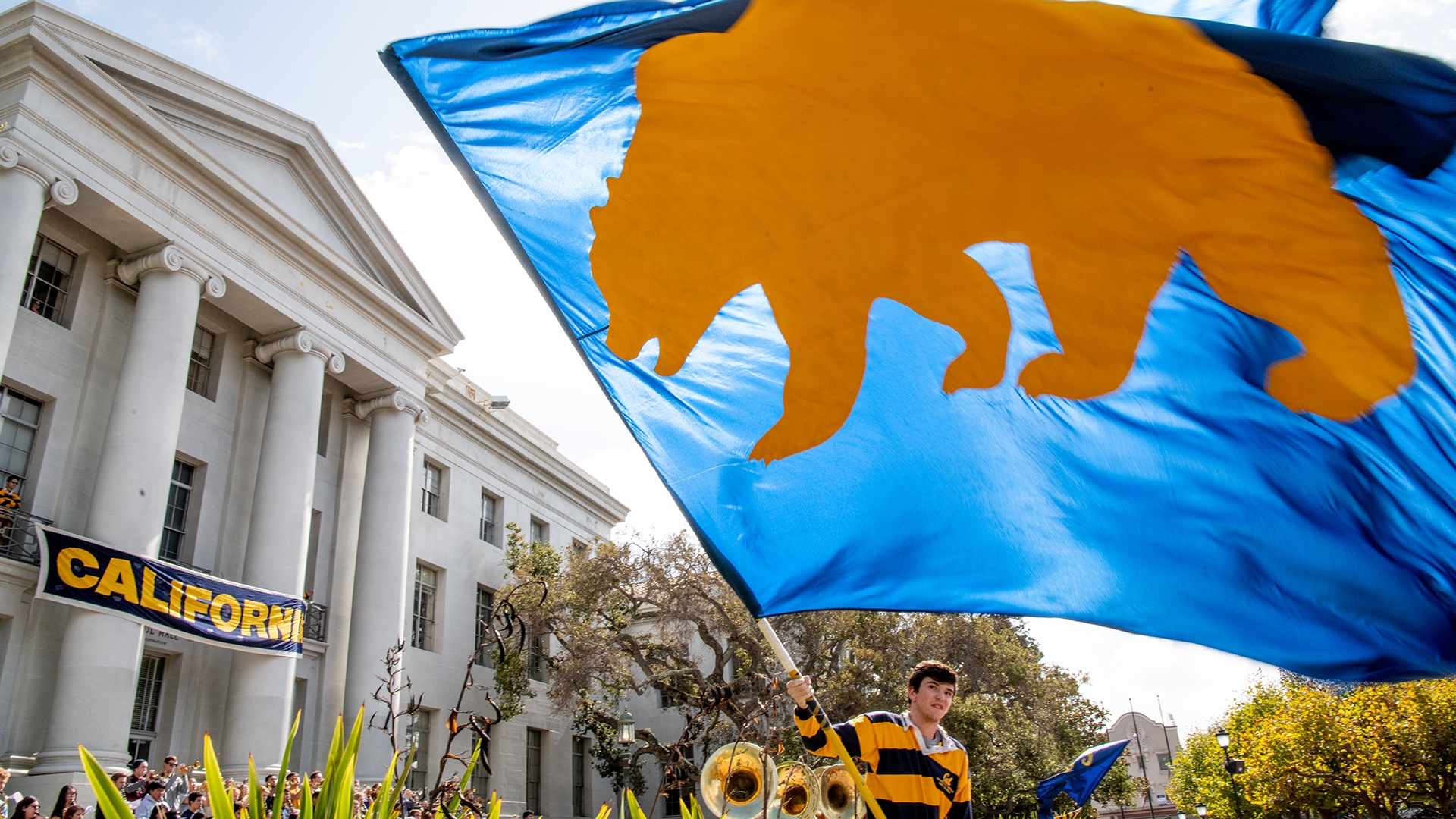 A person in the UC Berkeley rally committee waves a blue flag with a bear on it in celebration