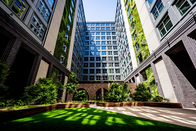 The interior courtyard of Anchor House has a lawn, lush greenery and climbing plants.