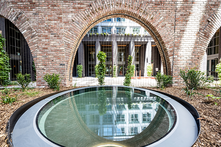 In the interior courtyard of Anchor House is a circular lightwell that channels light to the residential lobby below. Behind it, ivy is being trained to grow up wires placed vertically across an open brick archway and behind the archway is the entrance to two interior spaces that students and others can use to cook in.