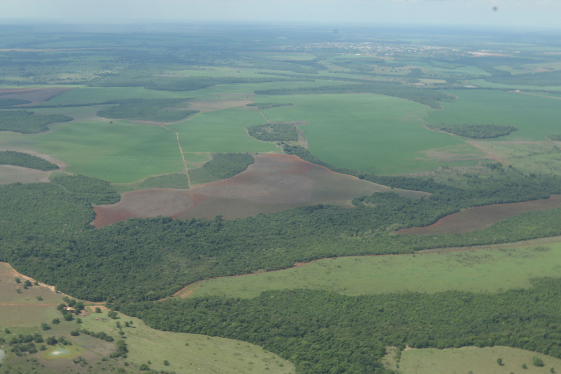 A landscape with alternating grassy and forested patches.