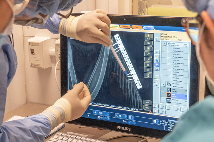 The doctors look at an X-ray on a computer screen to see the positioning of the fixator on Nox's wing.