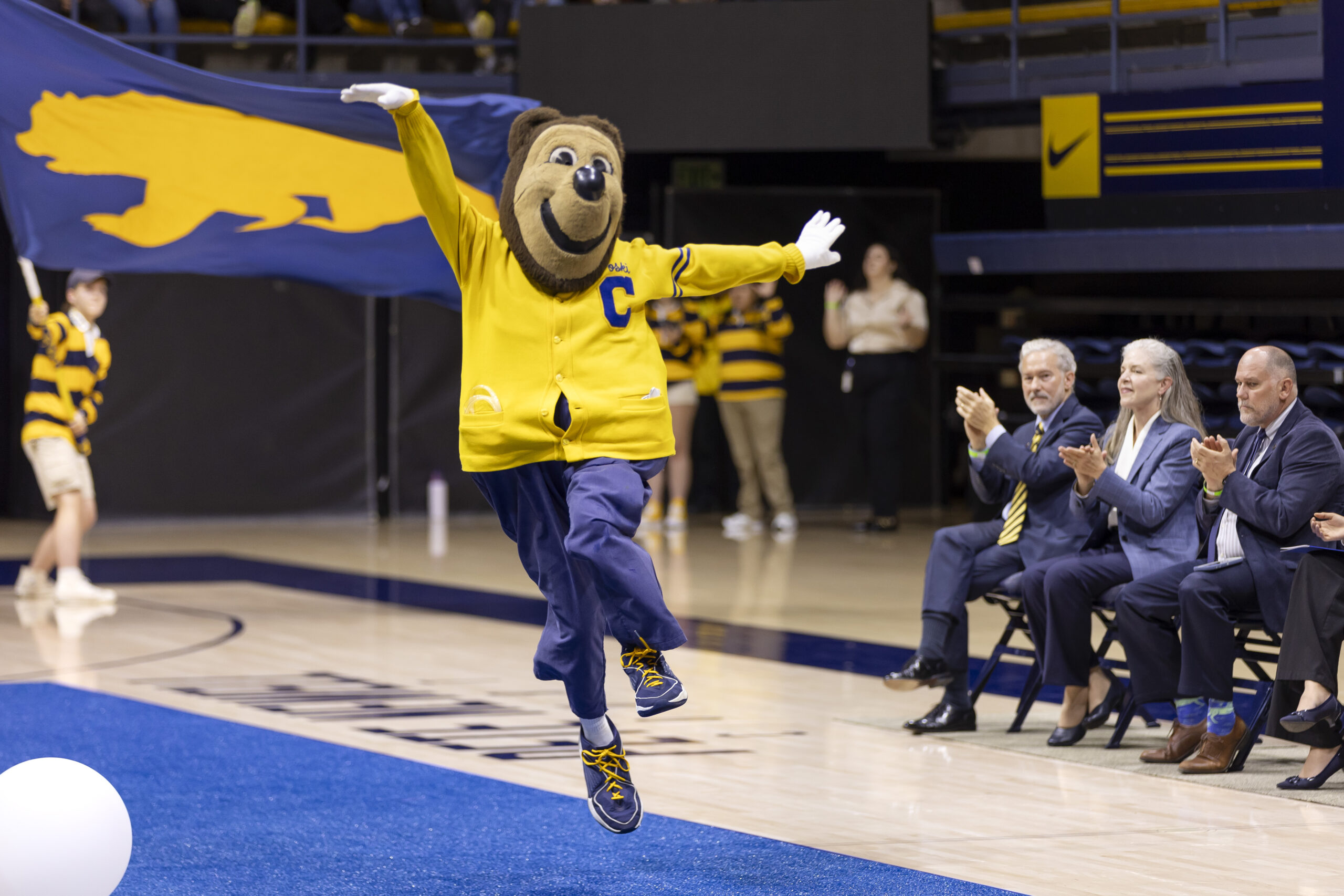 Oski the Bear, wearing a gold cardigan with a big blue C on it, white gloves and blue athletic shoes with gold laces, leaps and dances on the basketball court during fall convocation 2024.