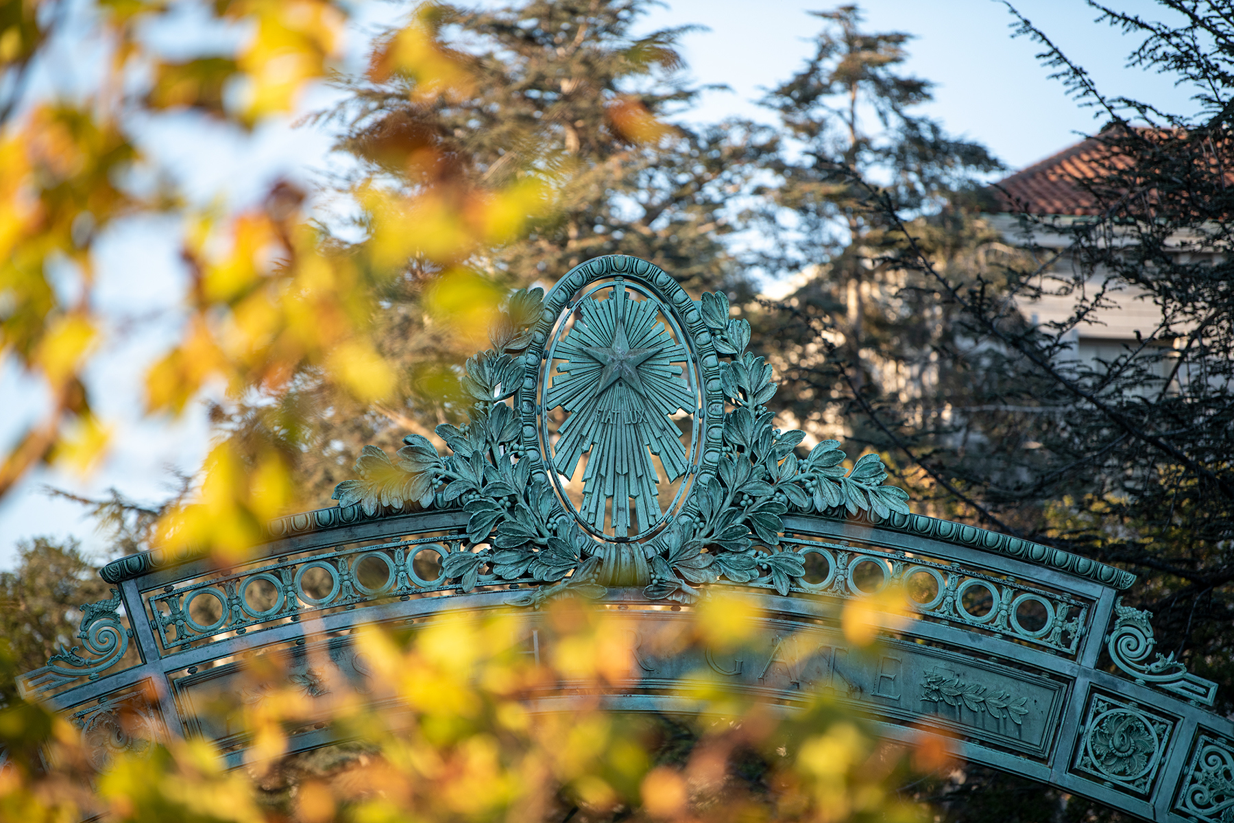 A close up of the star on Sather Gate in autumnal light