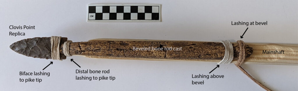 A labeled image of a replica pike, tipped with a replica Clovis point. The spear is made of wood and bone, and researchers say the spear worked as a fully functioning system to bring down megafauna