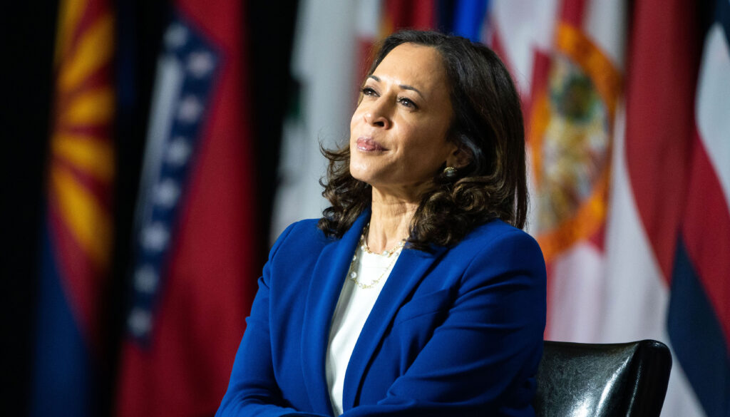 Kamala Harris has a calm, low-key smile as she sits before a bank of colorful flags.