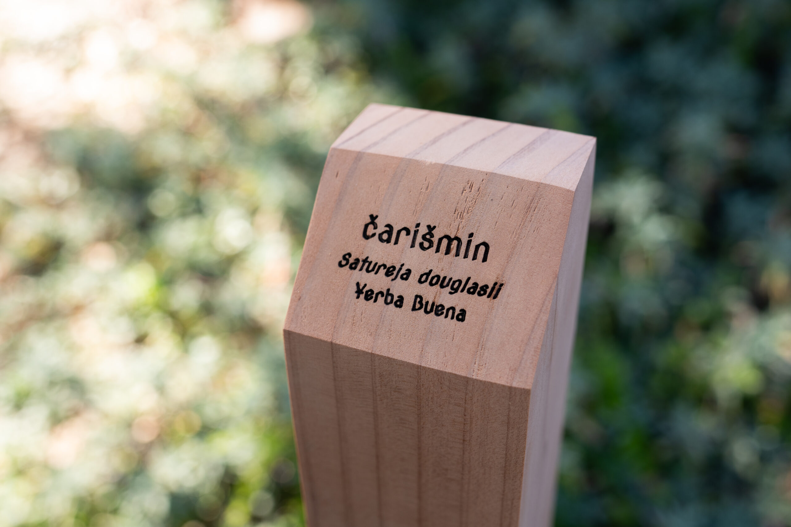 A wooden signpost in The Lawrence Hall of Science's outdoor nature lab provides the Chochenyo word for a particular plants and its traditional use in Ohlone culture.